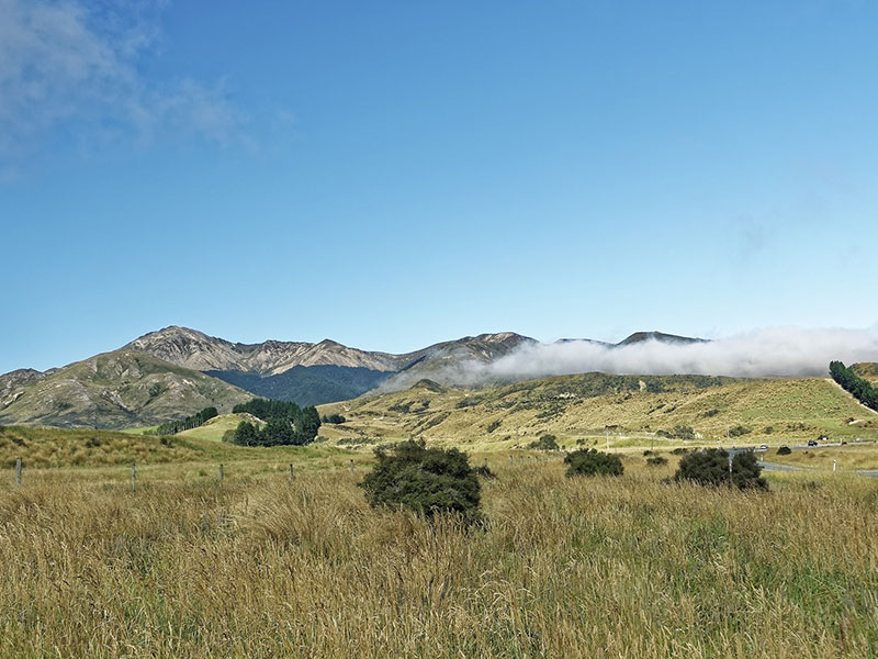 New Zealand factory investment unveiled