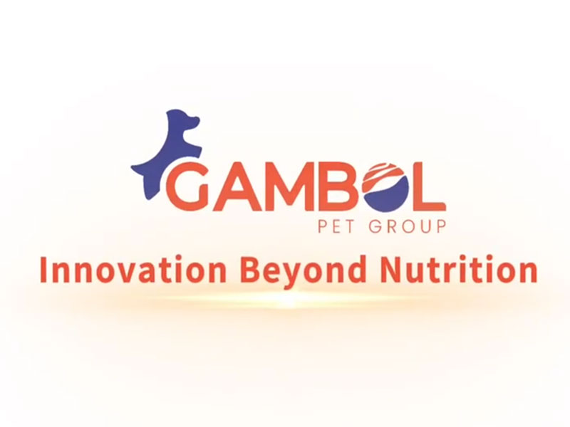 About Gambol