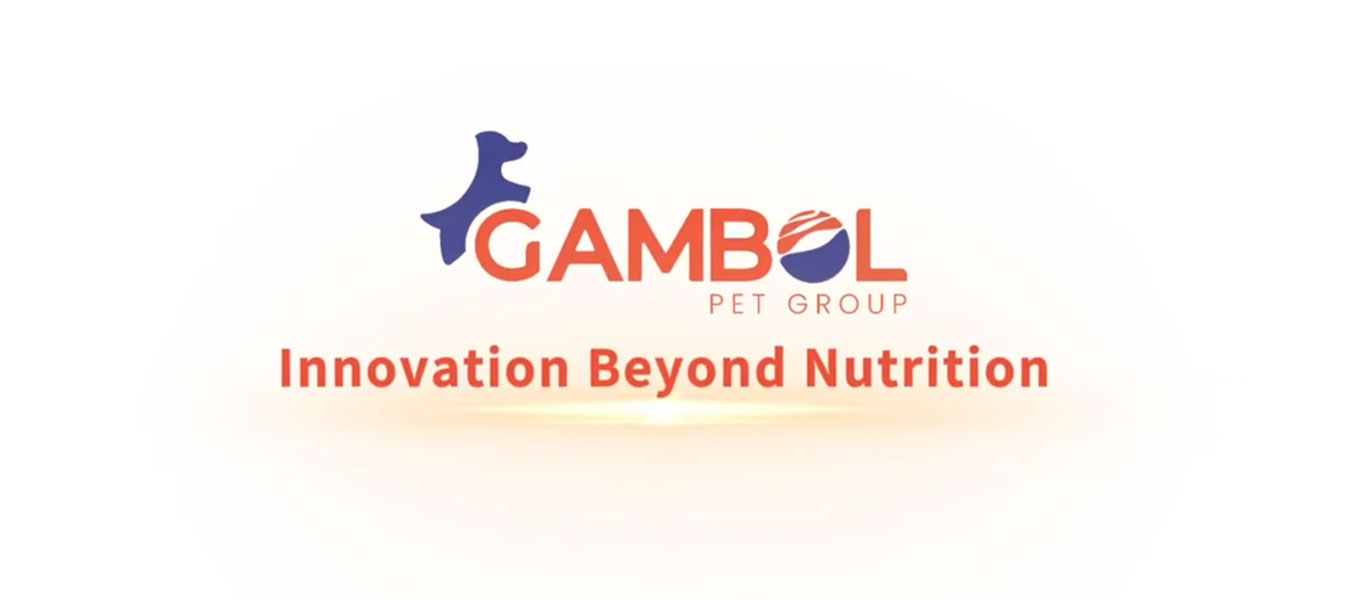 Learn More About Us