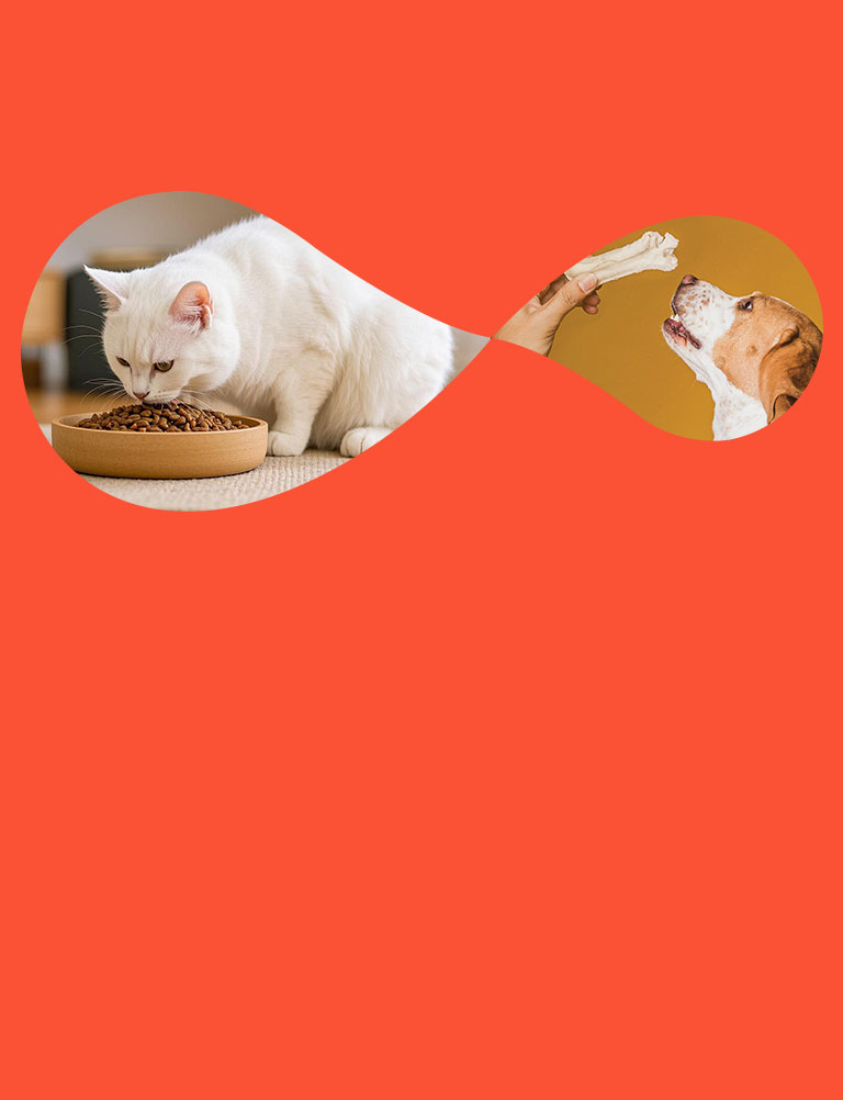 Pet Food FAQs