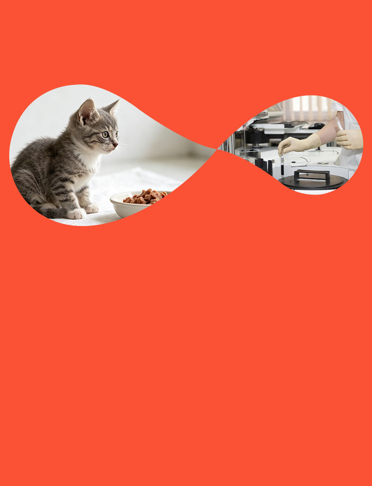 Pet Food Videos