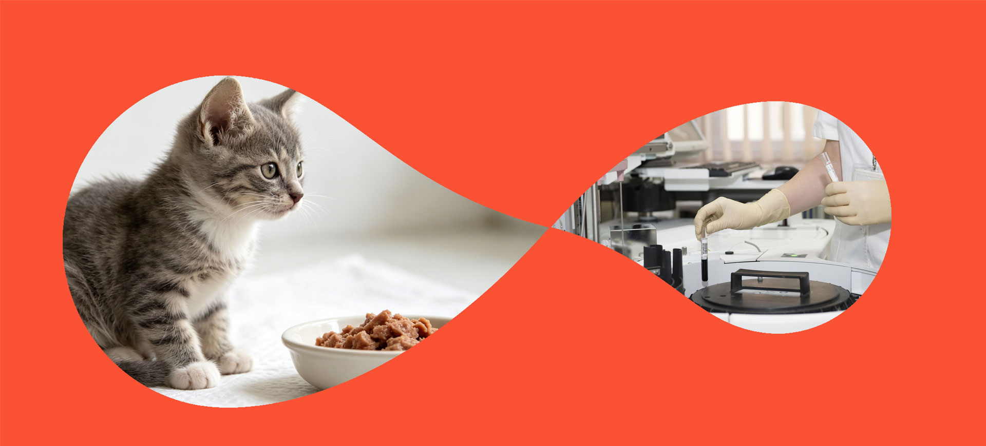 Pet Food Videos