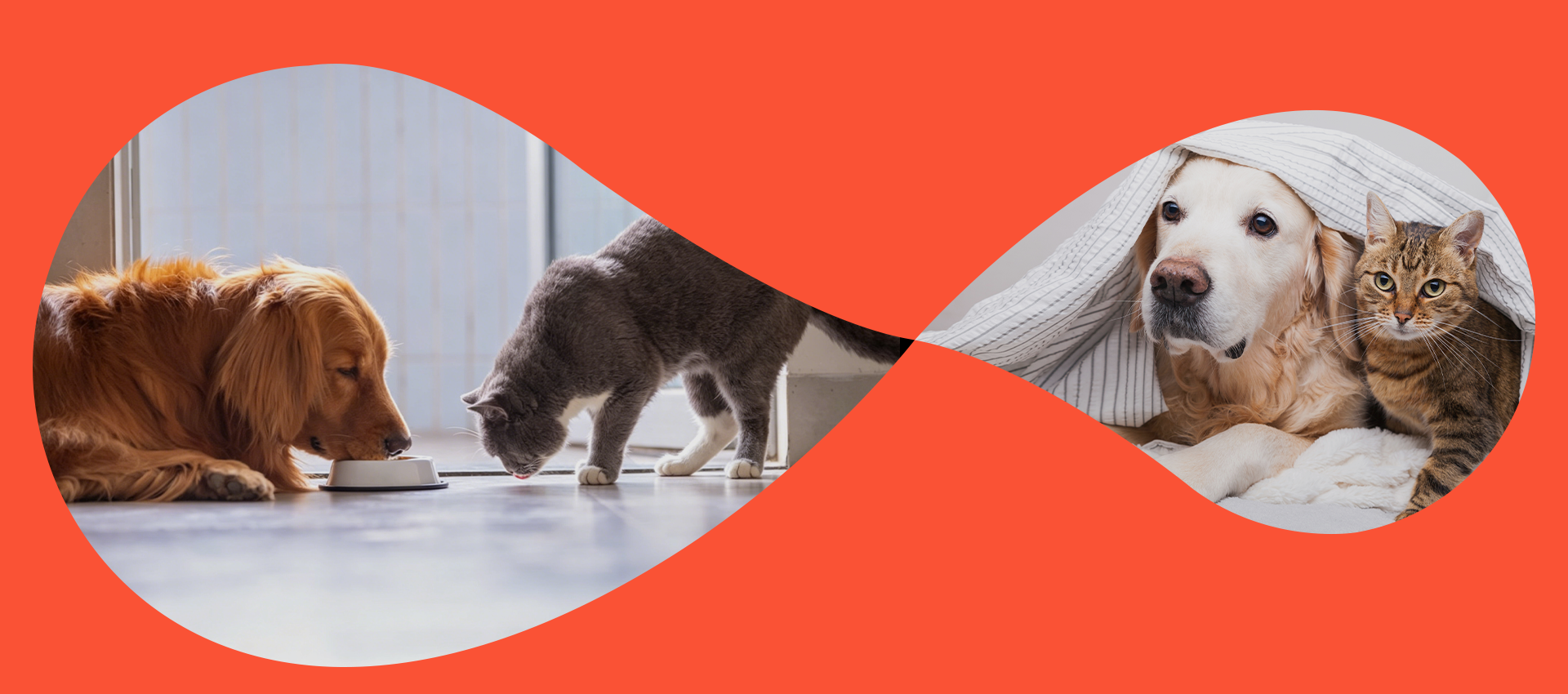 Gambol OEM/ODM Pet Food Global Footprint
