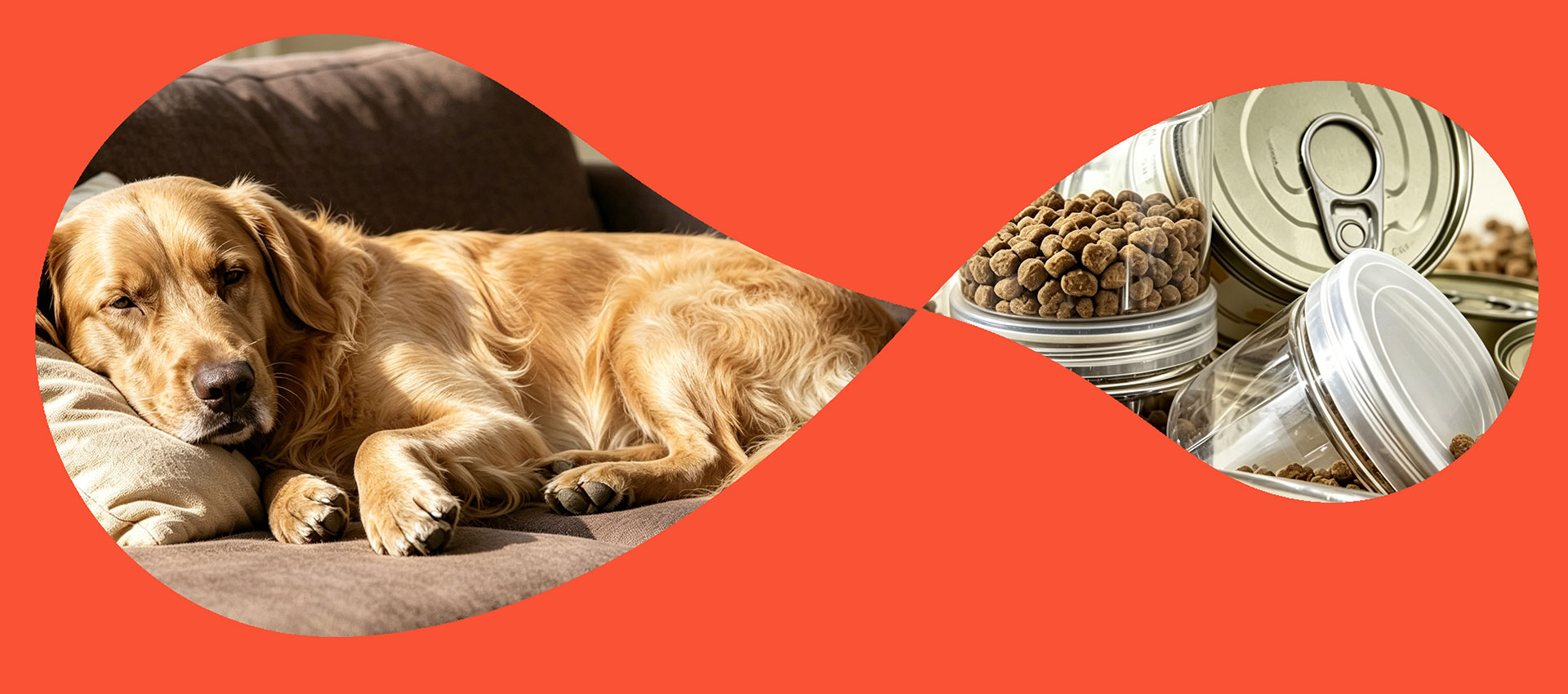 Sustainable Pet Nutrition Pioneer