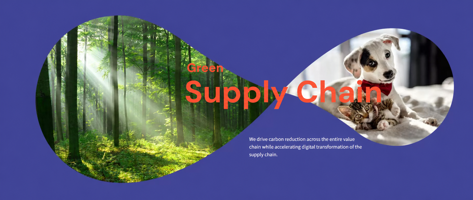 Our Commitment to Sustainability in Pet Food and Treats