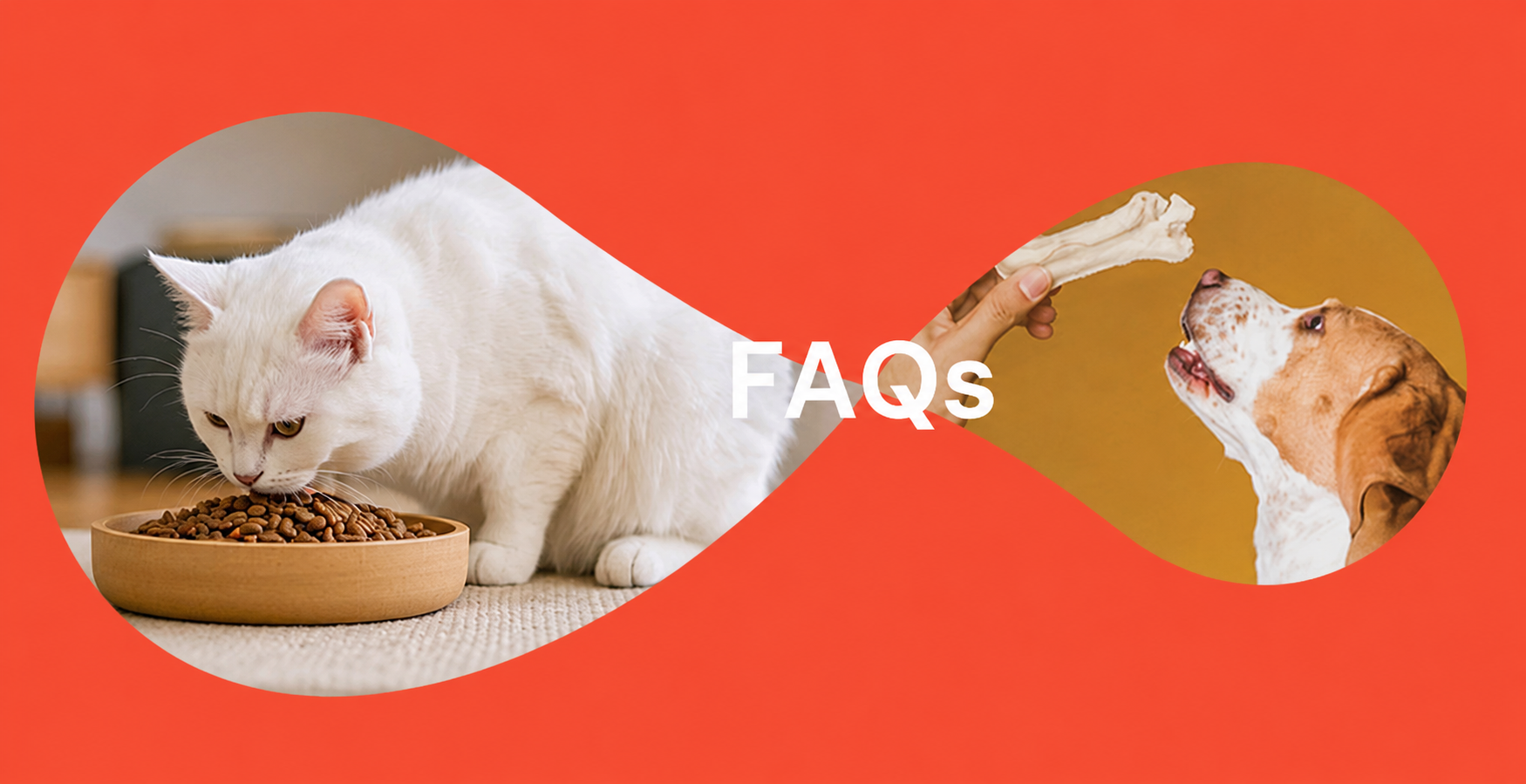 Pet Food FAQs