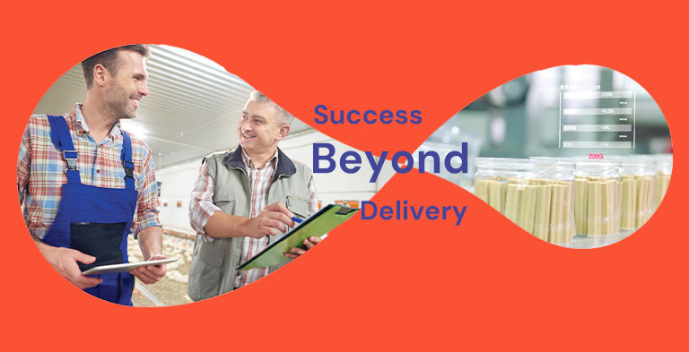 Success Beyond Delivery