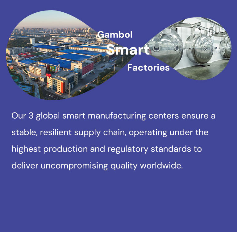 <p>Gambol Smart Factories</p>
