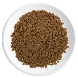 Chicken & Turkey Flavor Cat Kibbles