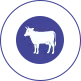 Cloven-hoofed Livestock