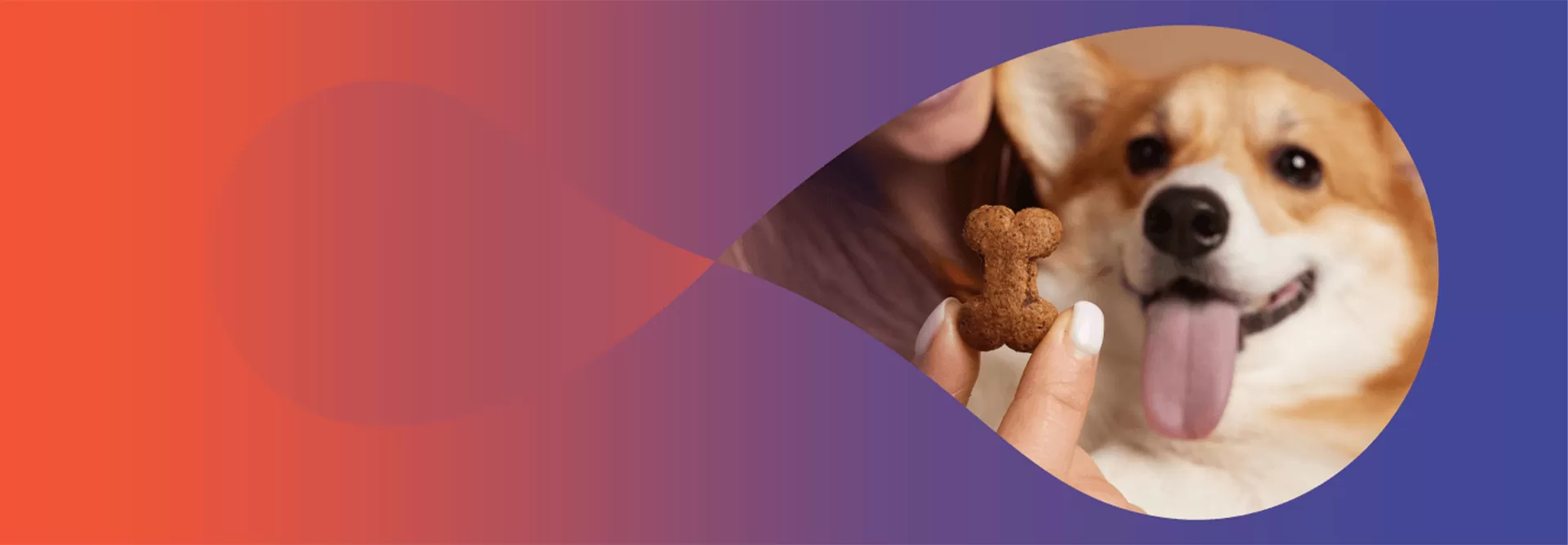 Innovative Dog Chews for Total Oral Wellness