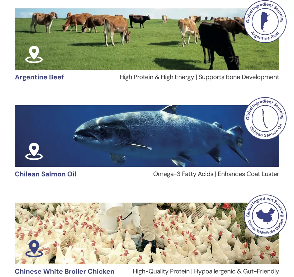 Global Sourcing