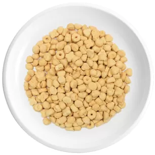 Mini Dog Biscuits