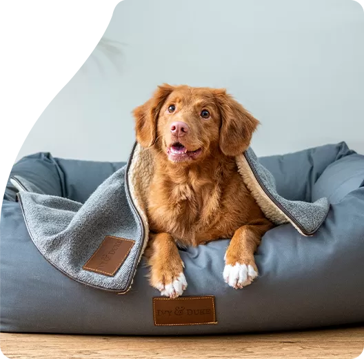 Our Commitment to Dog Food Safety & Compliance