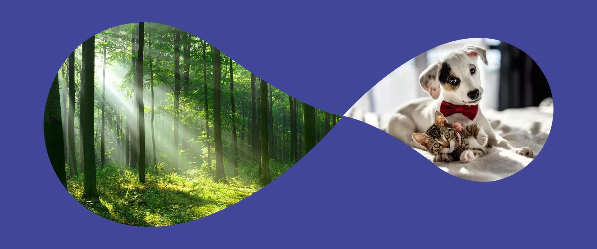 Our Commitment to Sustainability in Pet Food and Treats